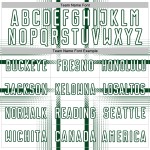 White Green Uniform Lines Custom Sublimation Soccer Jersey White Green Uniform Lines Custom Sublimation Soccer Jersey